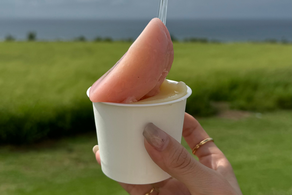石垣島のみるみる本舗のグァバ味ジェラート